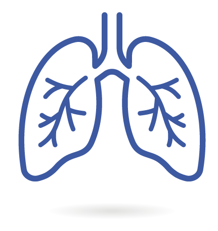 lungs_line lungs