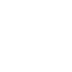 icon_vision_w vision icon