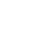 icon_mission_w mission icon
