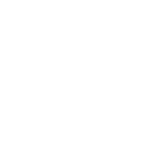 icon_values_w value icon